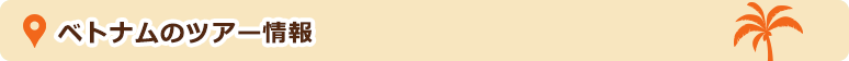 ベトナムのツアー情報